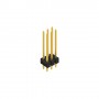 Fischer Elektronik SL22 214 6G, Male header, 2 rows, 6 contacts gold-plated, pitch 2.54mm